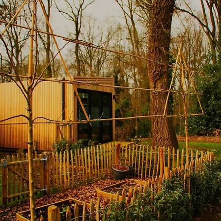 Boshuisje Bed and breakfast